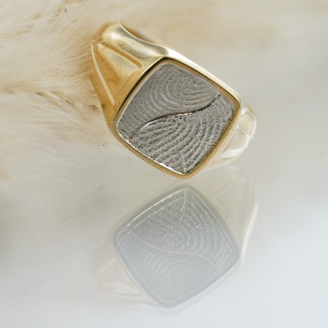 Wappenring Fingerprint